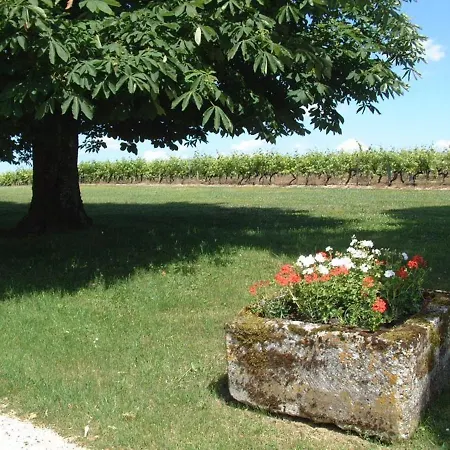 Maison De Charme Avec Piscine Chauffee Et Jardin Prive, Ideale Pour Familles - Fr-1-653-85 Saint-Cybardeaux