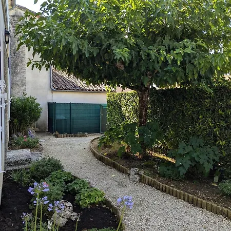 Maison De Charme Avec Piscine Chauffee Et Jardin Prive, Ideale Pour Familles * Saint-Cybardeaux
